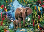 Jungle Elephants