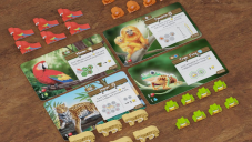 Life of the Amazonia components