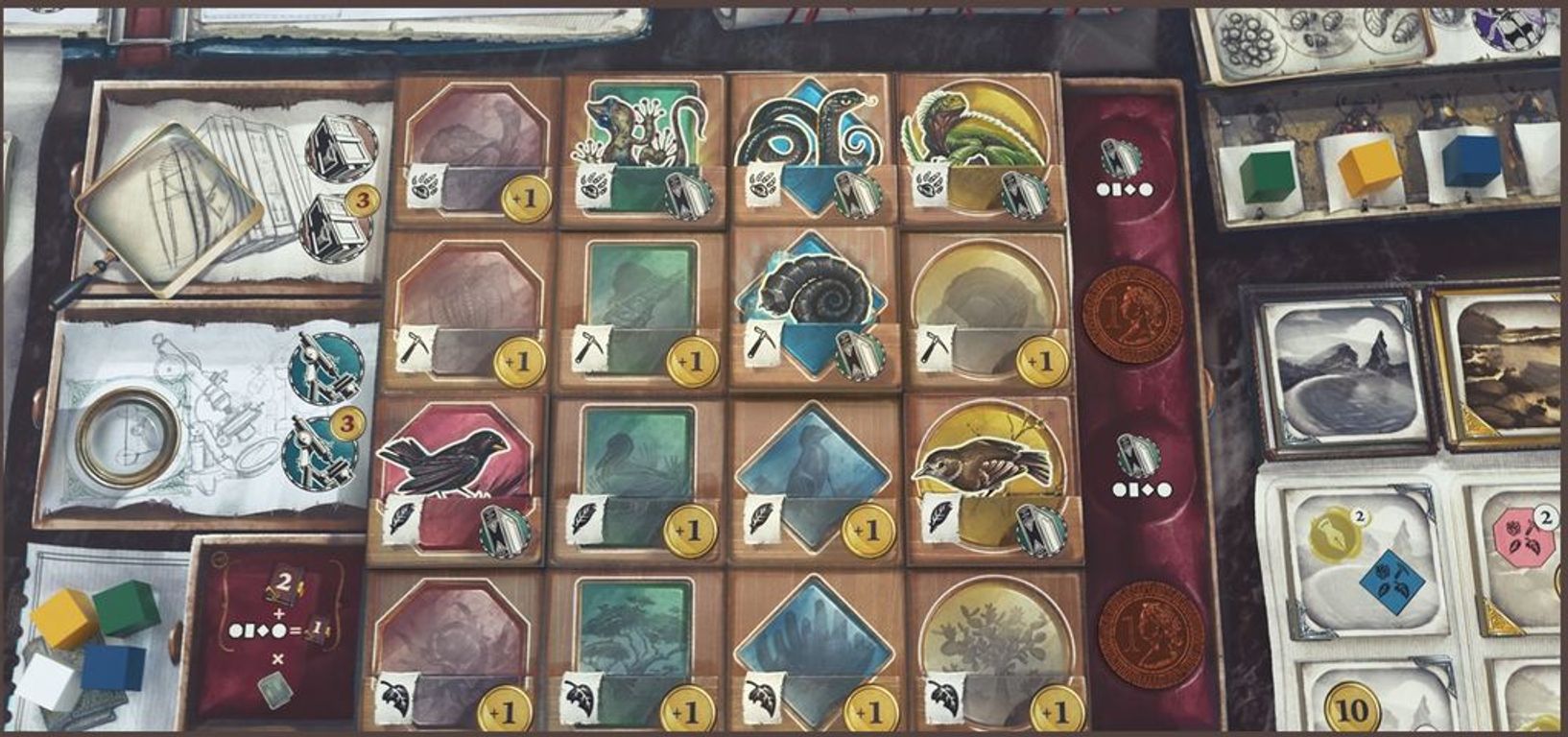 Darwin's Journey game board