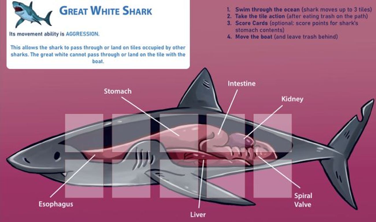 Sharks carte