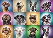 Portraits drôles de chiens