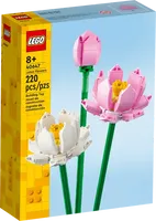 Les fleurs de lotus