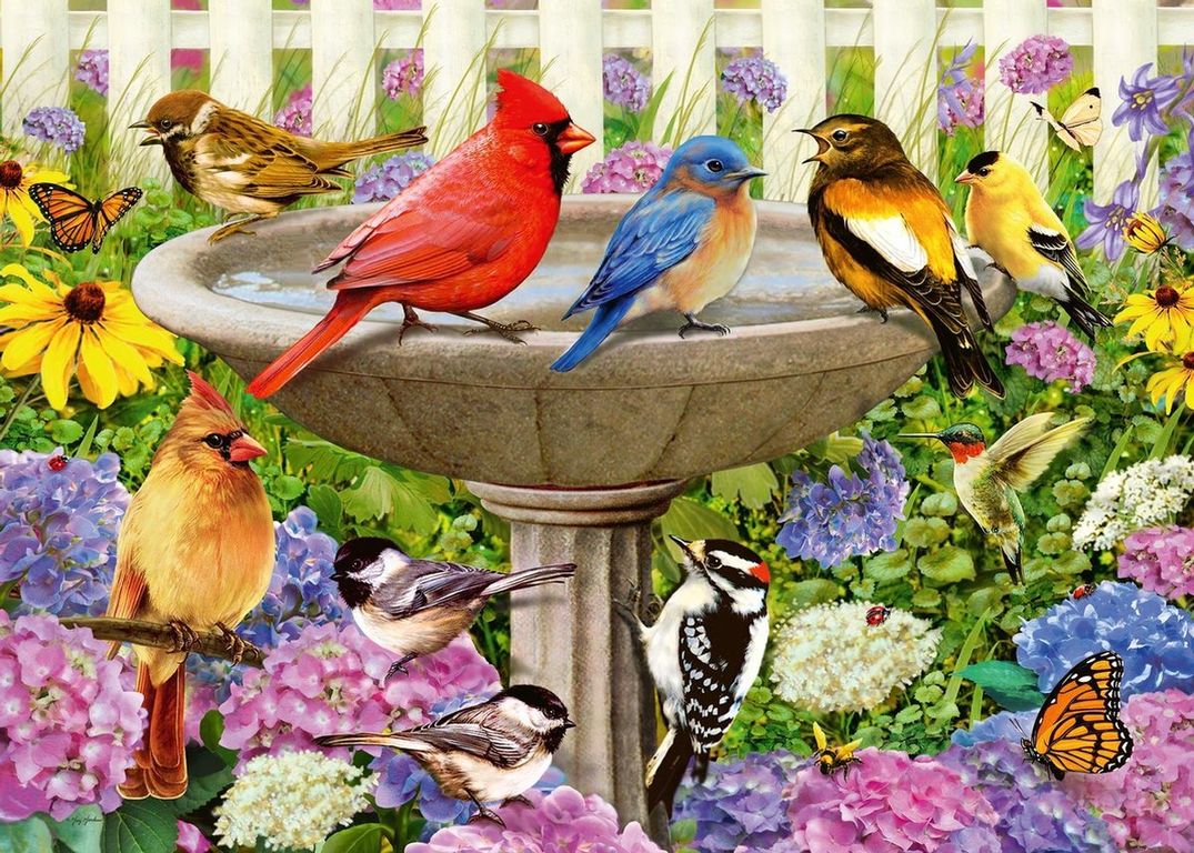 At The Birdbath