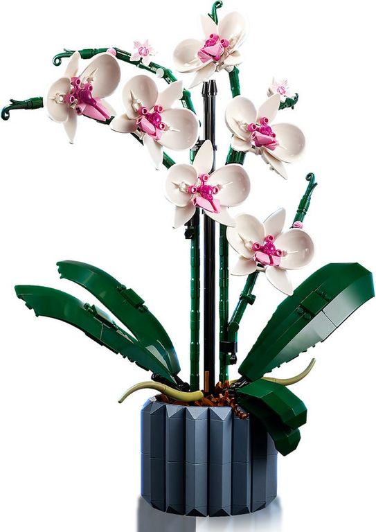 LEGO® Icons Orchidee