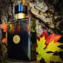 Versace Oud Noir pour homme Eau de parfum