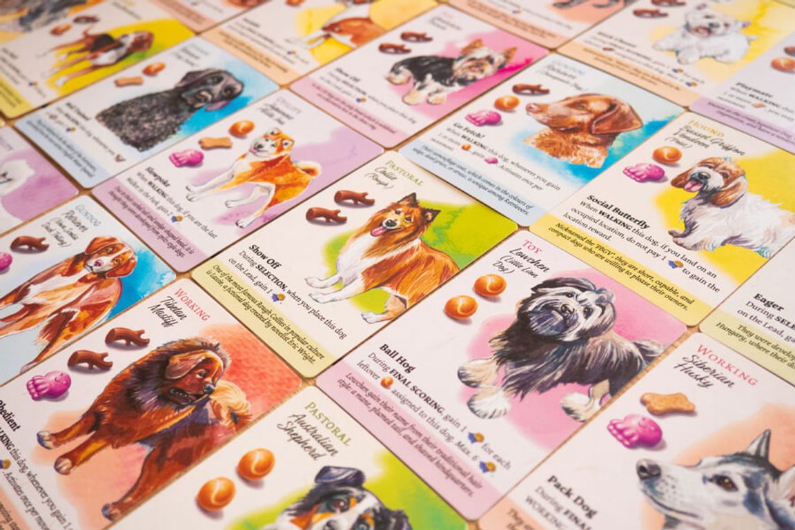 Dog Park: Dogs of the World Expansion Pack cards