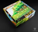 Photosynthesis: Laserox Forest Organizer caja