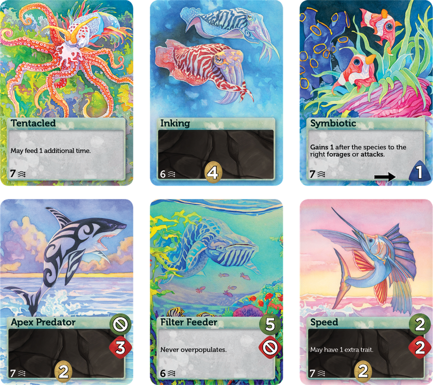 Oceans animales cartas