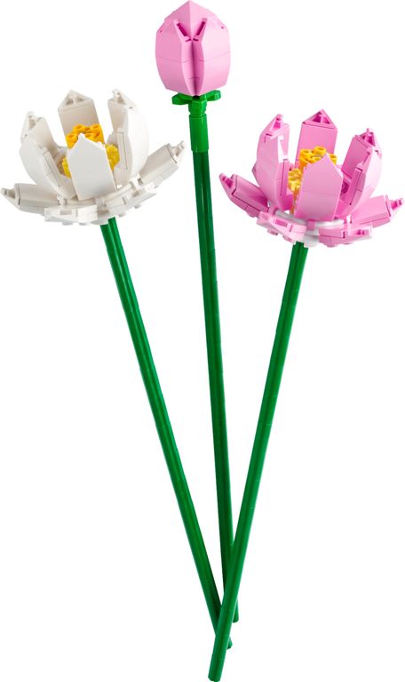Lotus Flowers components