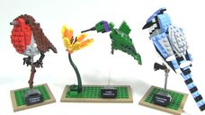 LEGO® Ideas Les oiseaux composants