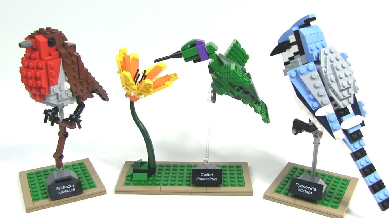 The best prices today for LEGO Ideas Birds ToyBricksFinder