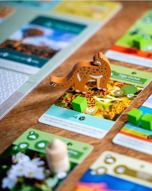 Earth: Animal Kingdom components