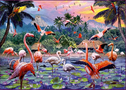 Pink Flamingoes