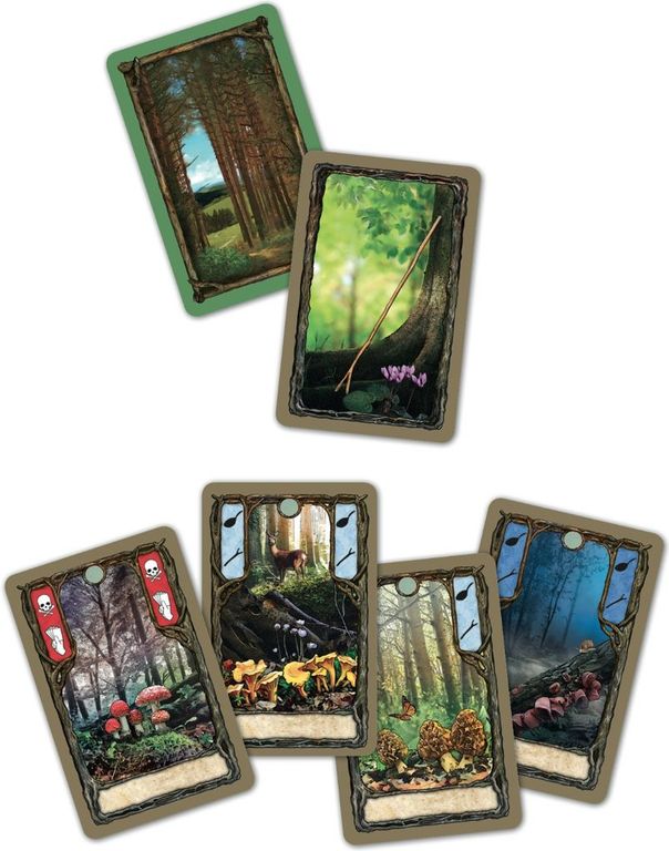 Morels cards