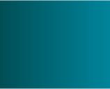 Citadel Contrast: Terradon Turquoise (29-43)