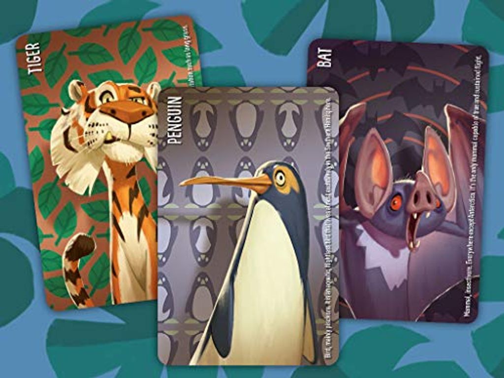 Similo: Wild Animals cartas