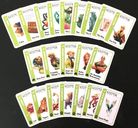 Jumanji Fluxx cartes