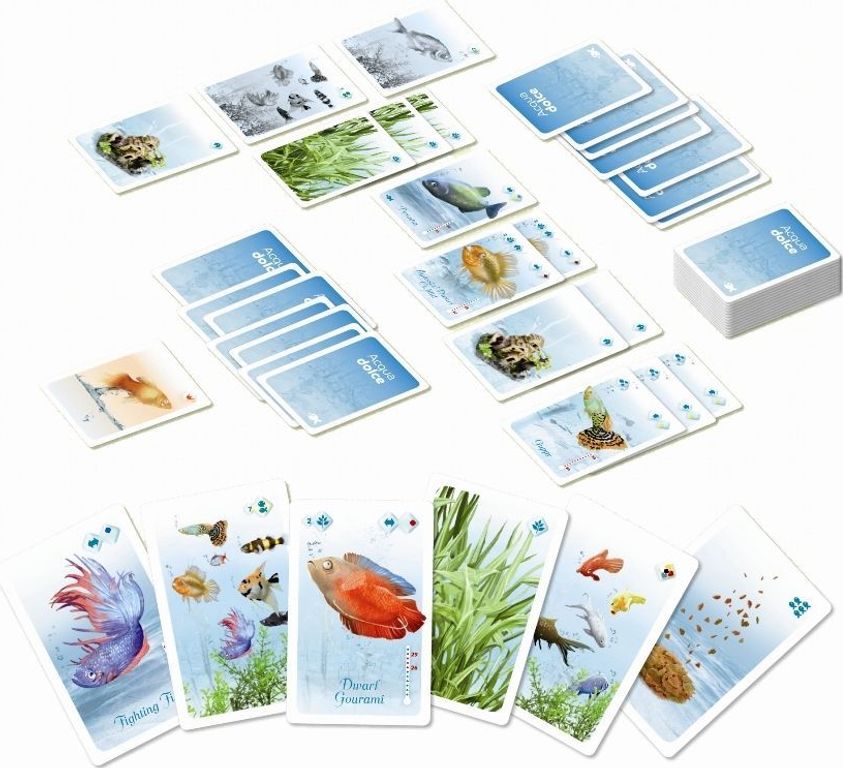 Acqua Dolce cards