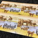 Ecosystem: Savanna carte