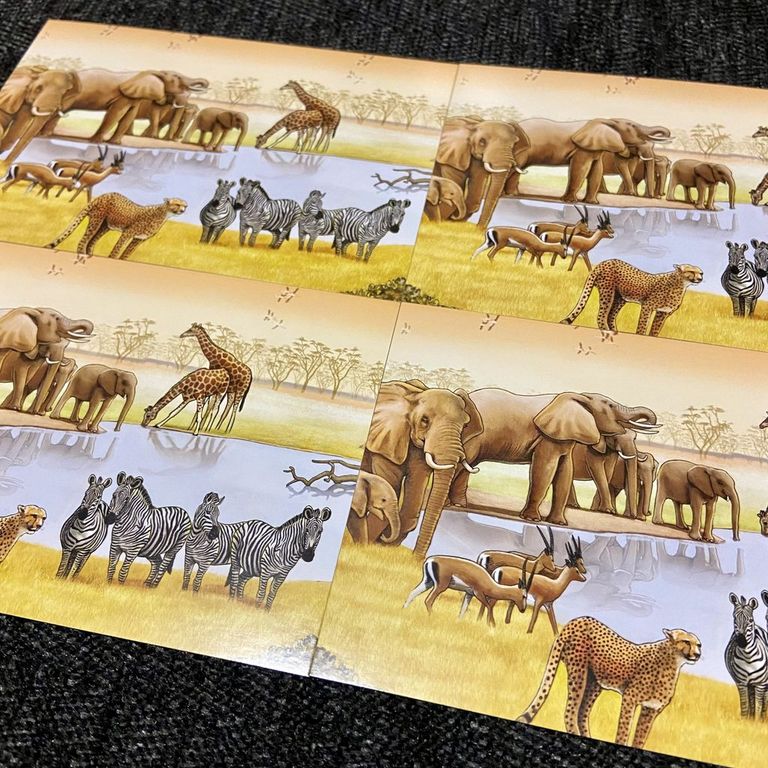 Ecosystem: Savanna karten