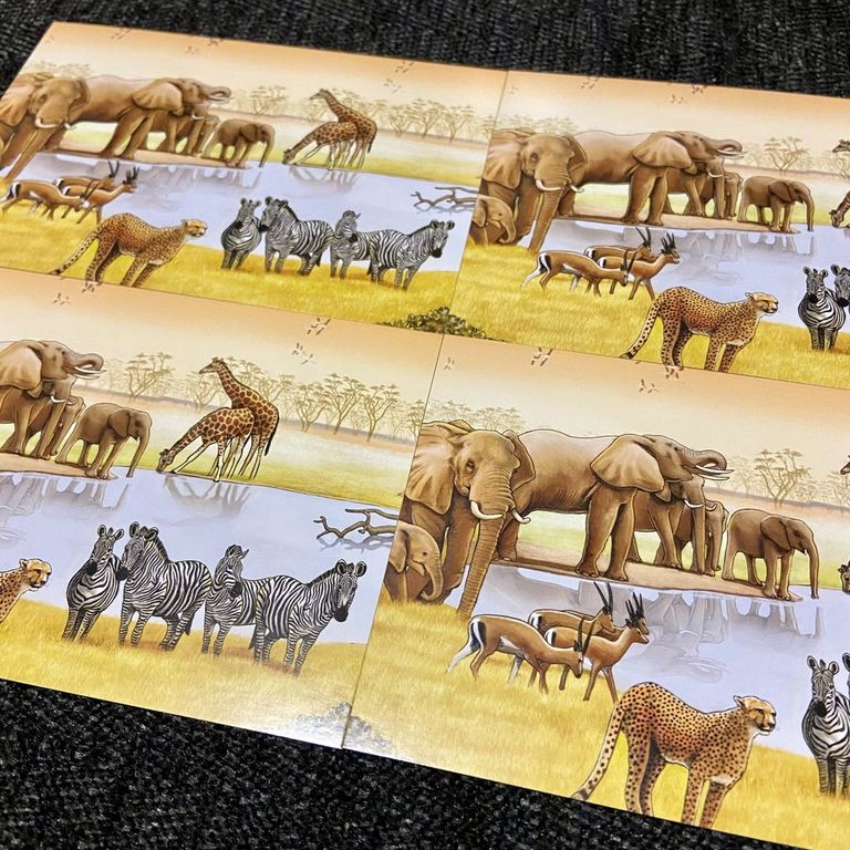 Ecosystem: Savanna carte