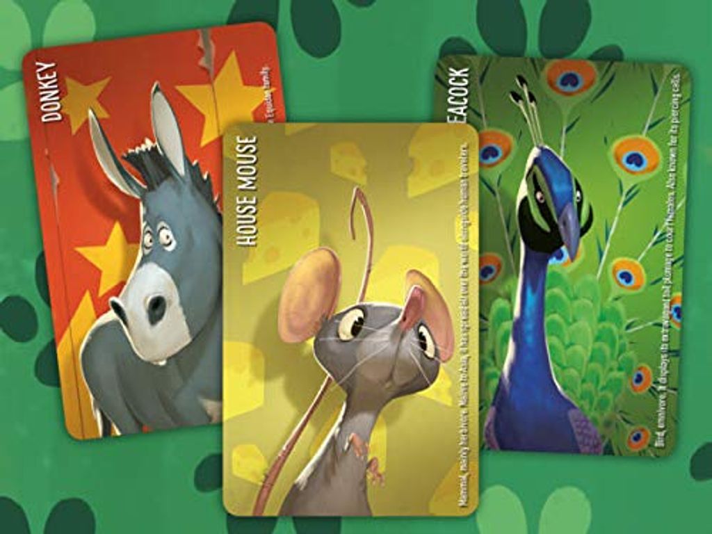 Similo: Animals cards