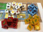 Nations: The Dice Game dobbelstenen
