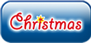 Playmobil® Christmas