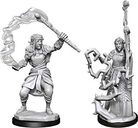 D&D Nolzur's Marvelous Miniatures - Firbolg Druid Female miniaturen