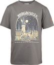 Camiseta de Harry Potter (gris)