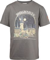 LEGO® Harry Potter™ Camiseta de Harry Potter (gris)