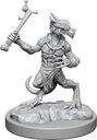 D&D Frameworks: Kobolds miniaturen