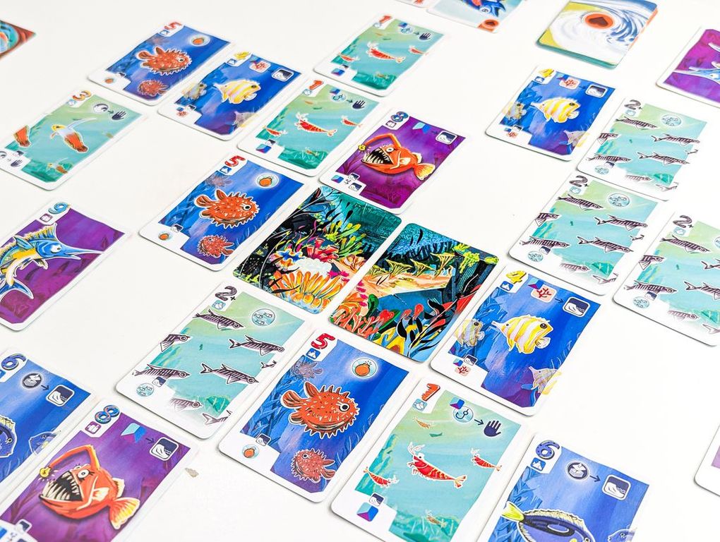 Fintastic Sea cards