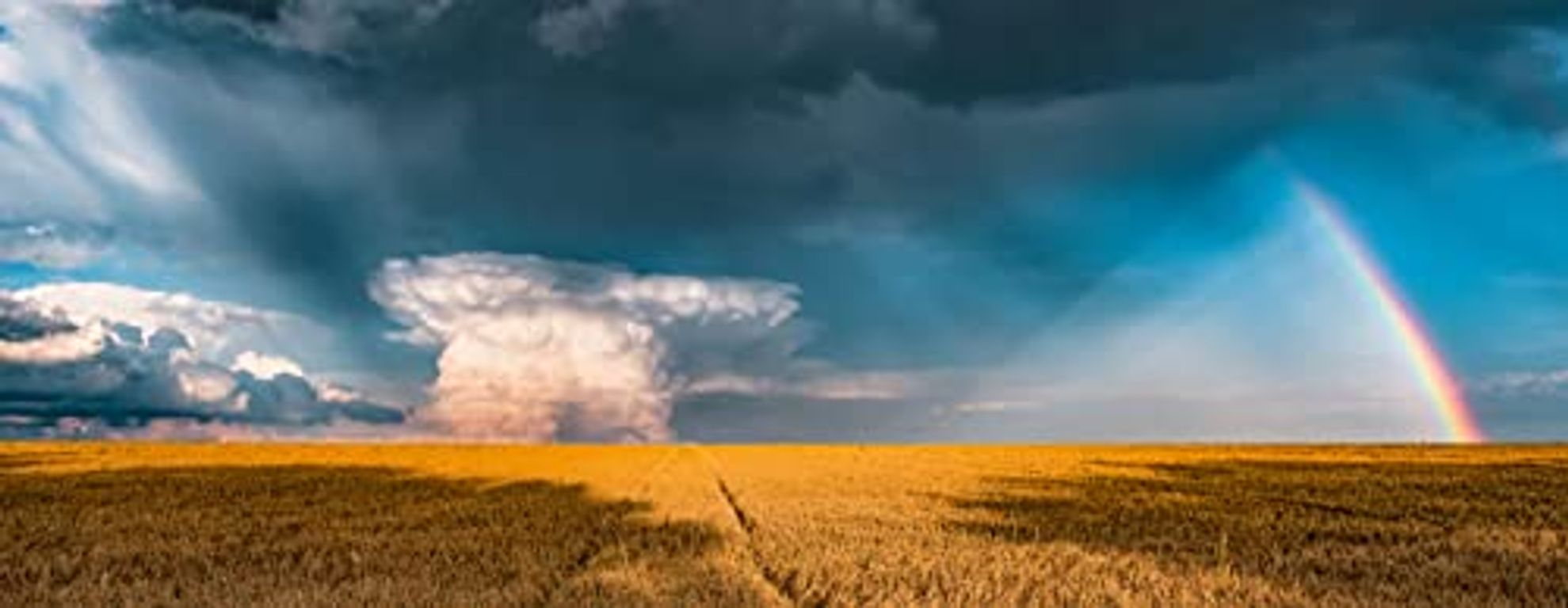 Édition Nature - Une météo arc-en-ciel mystique