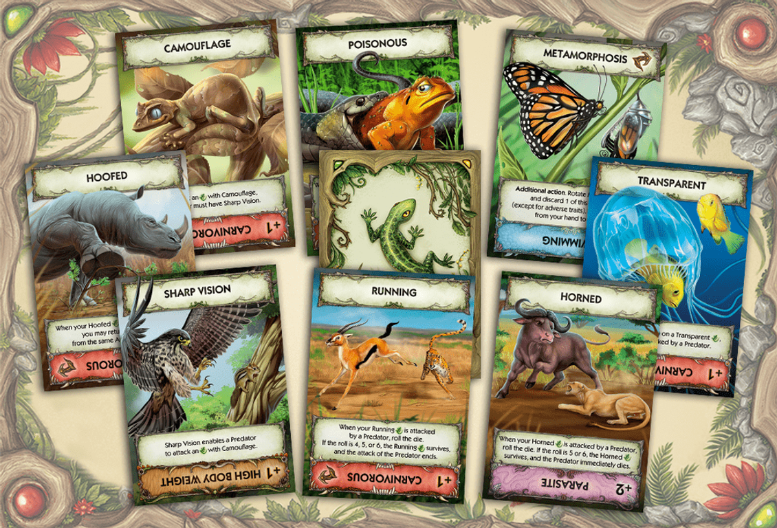 Evolution: New World cards