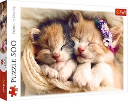 Sleeping kittens