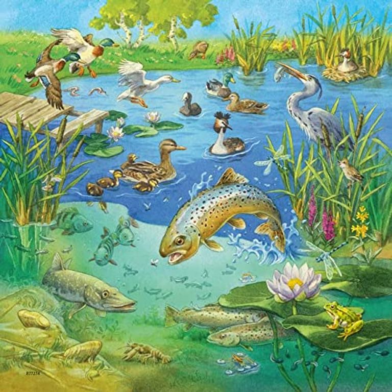 3 puzzles - animals in their habitats