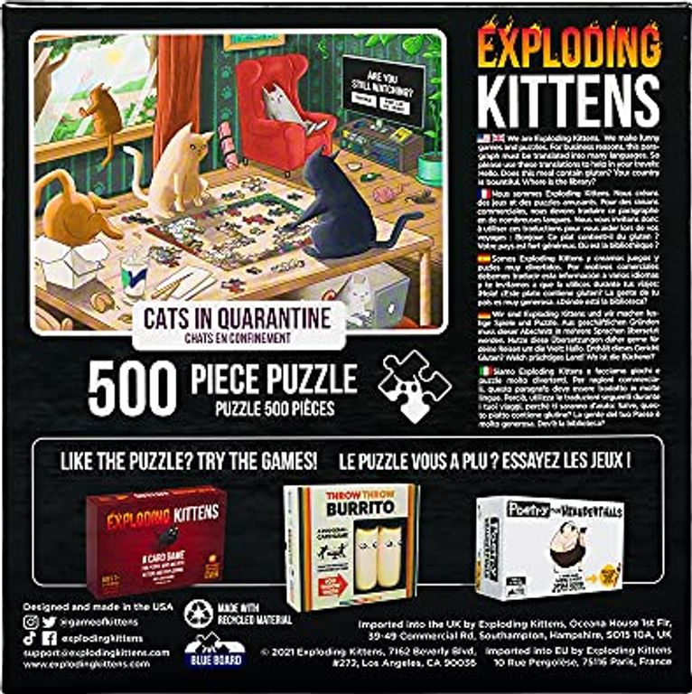 Exploding Kittens: Cats in Quarantine back of the box