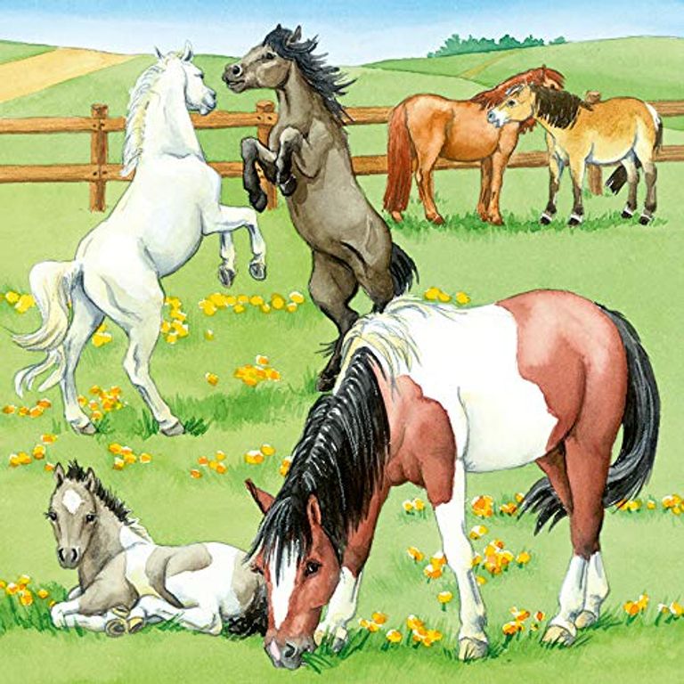 3 puzzles - A day at the horse stable