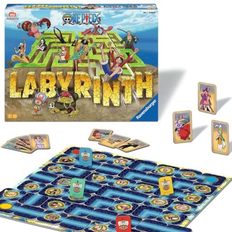 One Piece Labyrinth composants