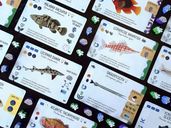 Finspan: Sharks & Reefs cards