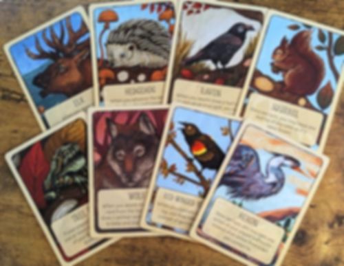 Leaf: Season of the Bear Expansion cards